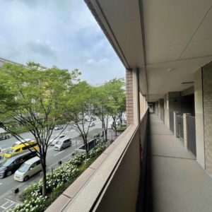 玄関からの眺望