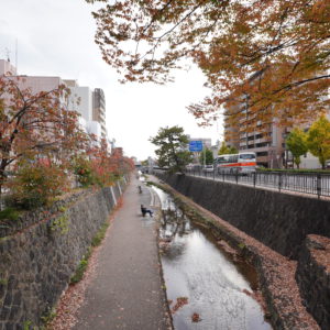 堀川通り沿いの静かな散歩道